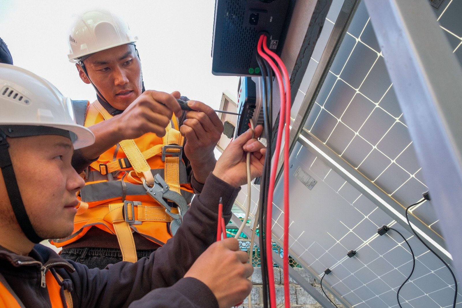 WhatsApp Image 2025-12-12 at 14.25.25 (3)