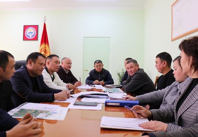 photo_5323469306513263680_w